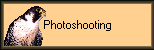 Photoshooting