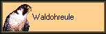 Waldohreule