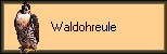 Waldohreule