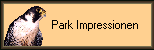             Park Impressionen